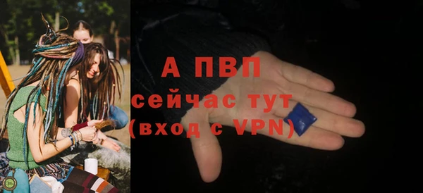ALPHA PVP Беломорск