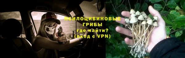 спиды Белокуриха