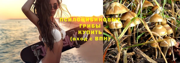 спиды Белокуриха
