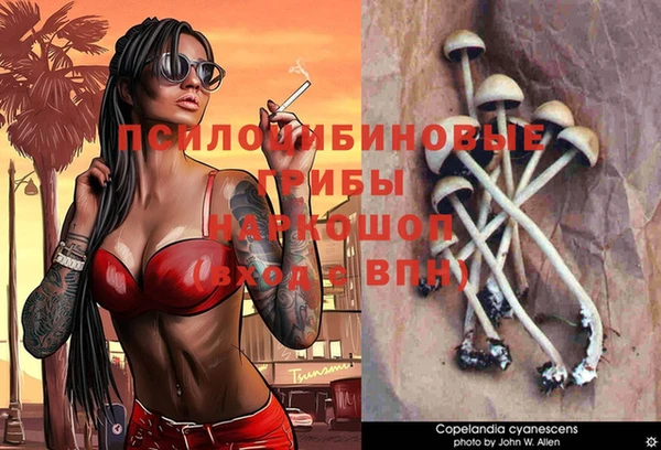 спиды Белокуриха